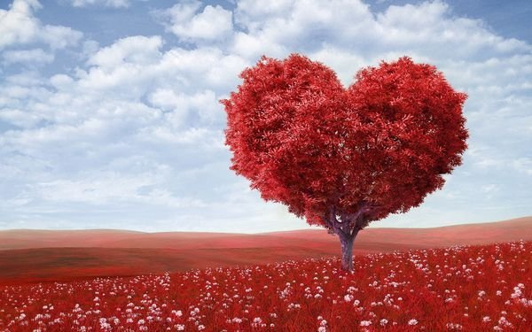 Naissance Aqiqah